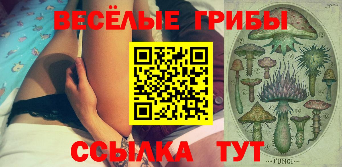 Тайшет  Галлюциногенные грибы MAGIC MUSHROOMS  Вход с VPN  где продают наркотики  Псилоцибиновые грибы мицелий 